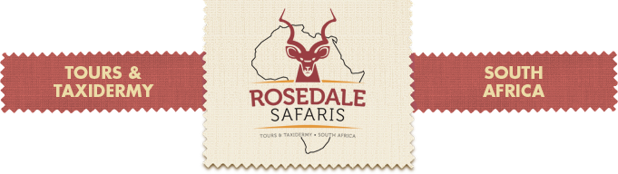 Rosedale Safaris